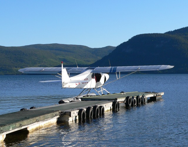 En annen gammel kjenning. Ser ut som den trives p� flott�rer!