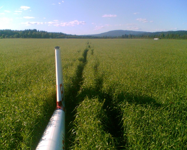 Tore og BH utelander p� ved Starmoen